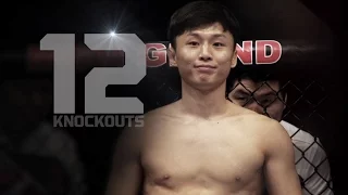 UFC 206: Dooho Choi - The Korean Superboy