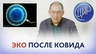 ЭКО после ковида: когда делать ЭКО поле ковида, какие анализы сдать, какие витамины принимать?