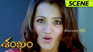 Gopichand & Trisha Krishnan Funny Introduction Scene || Shankam Movie Scenes