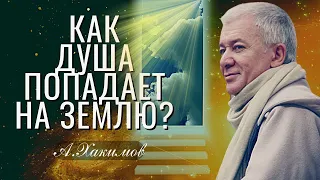 Как душа попадает на Землю? Александр Хакимов