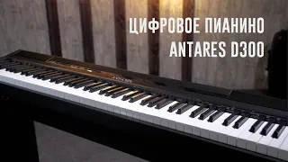 Цифровое Пианино Antares D300