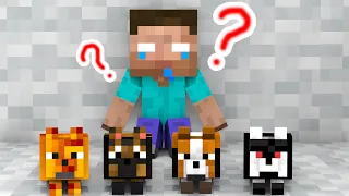 Monster School : Baby Herobrine, Where is Your Dog? - Minecraft Animation