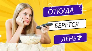 Запись эфира "Откуда берется лень?"