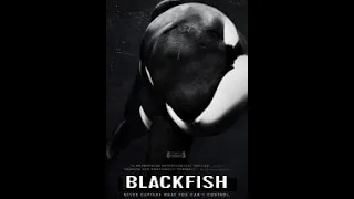 BlackFish (2013)