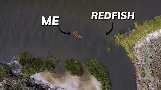 INSANE Florida Marsh Fishing//Giant PB Redfish//Nonstop Action