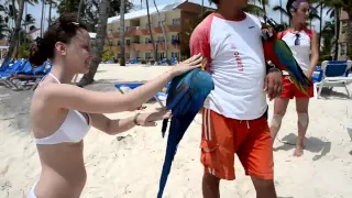 Наше свадебное путешествие в Доминикану Barcelo Dominican Beach