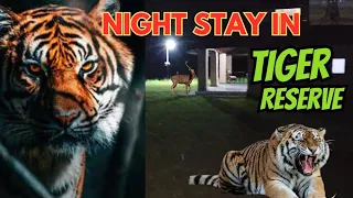 EP3: Night Stay in Tiger Reserve | Core Area | Tiger's Roar & Deer call | 260 Tigers|#youtube #tiger