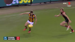 Round 12 AFL - Essendon v Hawthorn Highlights