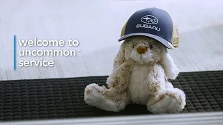 Subaru - Welcome to Uncommon Service | Bunny's Day Out