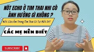 Chia Sẻ Về Nốt Echo Ở Tim Thai Nhi Có Ảnh Hưởng Gì Không | Nốt Cản Âm Trong Tìm Thai Có Tự Mất Đi?