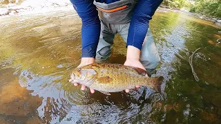 Walking in Water for 12 Hours (Loaded with Smallmouth Bass)