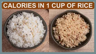 What is the number of Calories in 1 Cup of RICE?