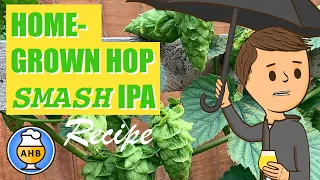 SMASH Cascade IPA with Home-Grown Cascade Hops, Home Brew on the Brewzilla