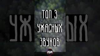 Топ 3 ужасных звуков записанных в русском лесу - Аномальная Россия #shorts