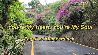Engelbert Humperdinck You're My Heart, You're My Soul(With Lyrics)