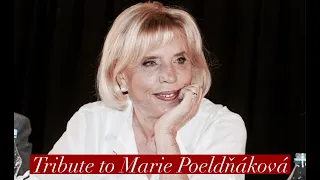 Tribute to Marie Poledňáková