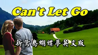 [西洋老歌] Can't Let Go - 新鴛鴦蝴蝶夢英文版