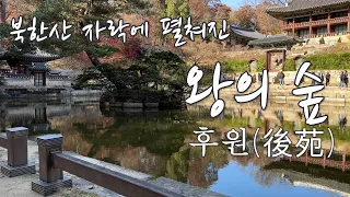 후원(後苑) , King's  Garden - Back yard of Changdeokgung Palaceat, at the skirt of  Bukhansan Mountain