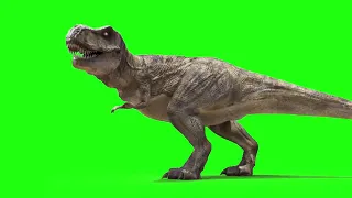 Dragon Green Screen Effects