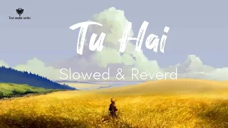 "Tu hai" video song (Slowed + Reverd) | Mohenjo daro movie | Text audio series