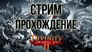 Побережье Жнеца Divinity: Original Sin II прохождение