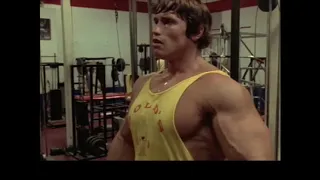 Top 5 Arnold Schwarzenegger Chest Exercises   YouTube