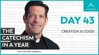 Day 43: Creation Is Good — The Catechism in a Year (with Fr. Mike Schmitz)