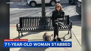 Woman, 71, stabbed outside Union Station while walking dog