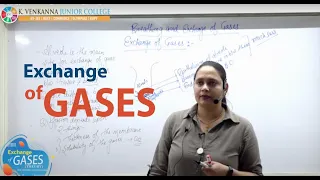 Biology- Breathing & exchange of gases L-1 NEET 2021 | Biomentors NEET | Dr. Nisha Yadav