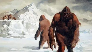 Himalayan Yeti discovery update