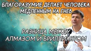 Благоразумие делает человека медленным на гнев (Разница между алмазом и бриллиантом).