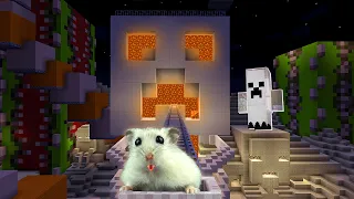 Hamster in Roller Coaster Minecart Halloween Maze