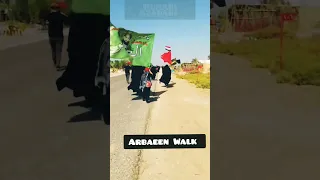 Arbaeen Walk 2023 | Karbala #shortsfeed #ytshorts #viral #humariazadari