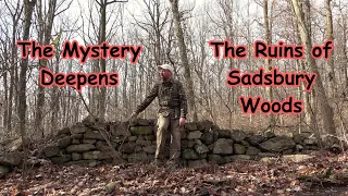 The Mystery Deepens ~ The Ruins of Sadsbury Woods