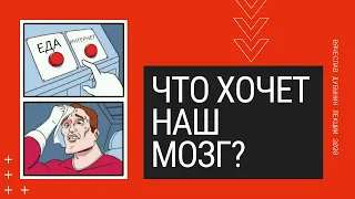 Лекция Вячеслава Дубынина: Мозг как арена конкуренции разных потребностей (для студентов ФФМ);