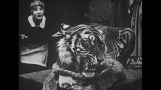 1930s. Title unknown.Old silent film was found. The title in Japanese is "Liberated Beast".