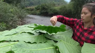 Solo bushcraft & Camping - Build a simple survival shelter by the stream- Free Life, OFF GRID LIVING