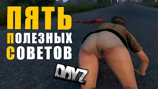 Советы по выживанию в Dayz | Актуальный гайд для новичков и профессионалов | Советы Dayz (х5)