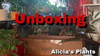 Logee’s Unboxing Plant Haul | July 2019