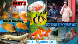 RISHRA EXOTIC FISH FARM | AQUA FISH FARM| DISCUS WIDOW OSCAR LIONHEAD