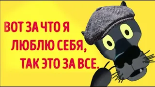 ✔️Я живу как положено… а положено у меня на всё. Анекдоты с Волком.#ВГостяхУВолка