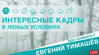 Как снять интересные кадры в любых условиях? Евгений Тимашёв