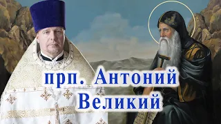 Прп. Антоний Великий. Проповедь священника Димитрия Лушникова 30 января 2021