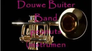 Douwe Buiter band - Peanuts (instrumentaal)