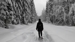 Trillium Lake Christmas Snowshoe