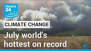 Climate change: July was world's hottest on record, EU scientists say • FRANCE 24 English