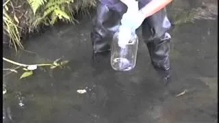 Sediment II - Collection of Stream Sediment Samples.avi