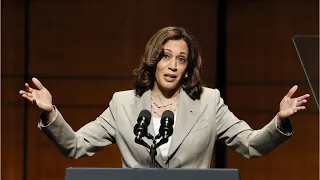 Kamala Harris is a 'low-IQ wine mom'