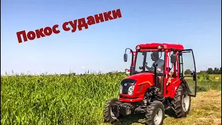 Трактор Dongfeng 404 G2 / Покос суданки.