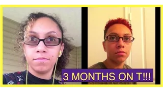 3 Months on Testosterone Mini Update (FtM Transgender)